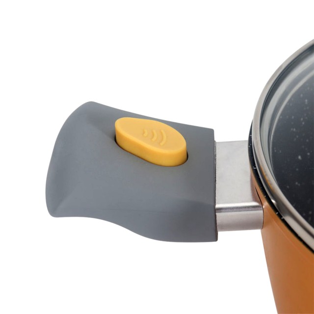 Ceramic Coated Induction Cookpot