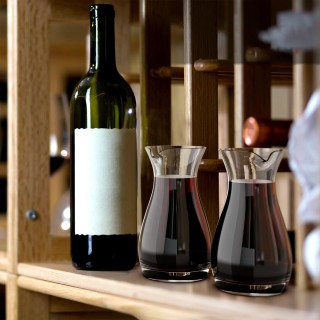 Mini Personal Decanter Set of 2