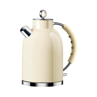 Stainless Steel Electric Kettle in Solid Color