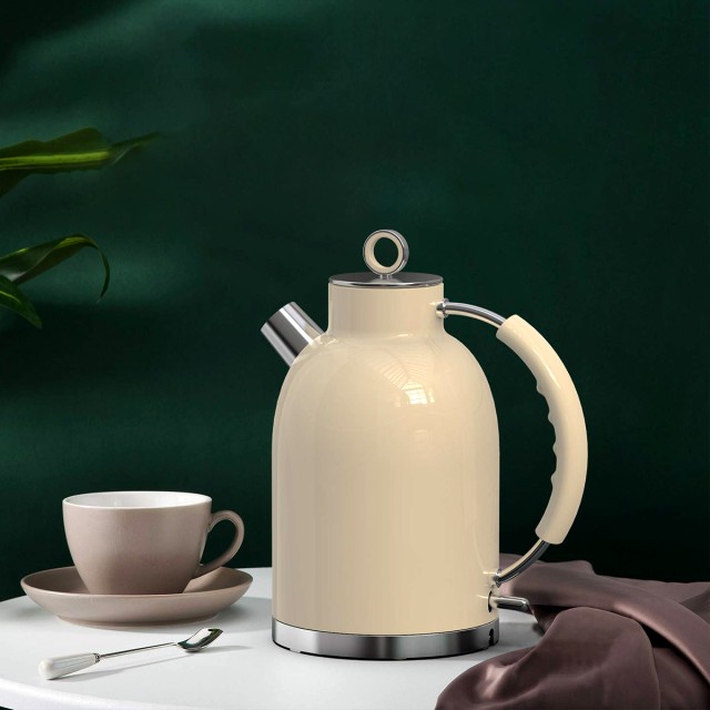 Stainless Steel Electric Kettle in Solid Color