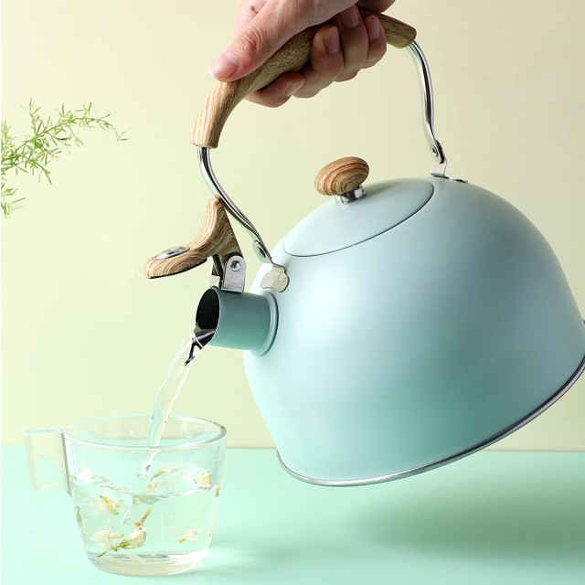 2.5L Whistling Kettle