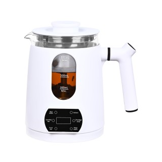 Premium Electric Kettle