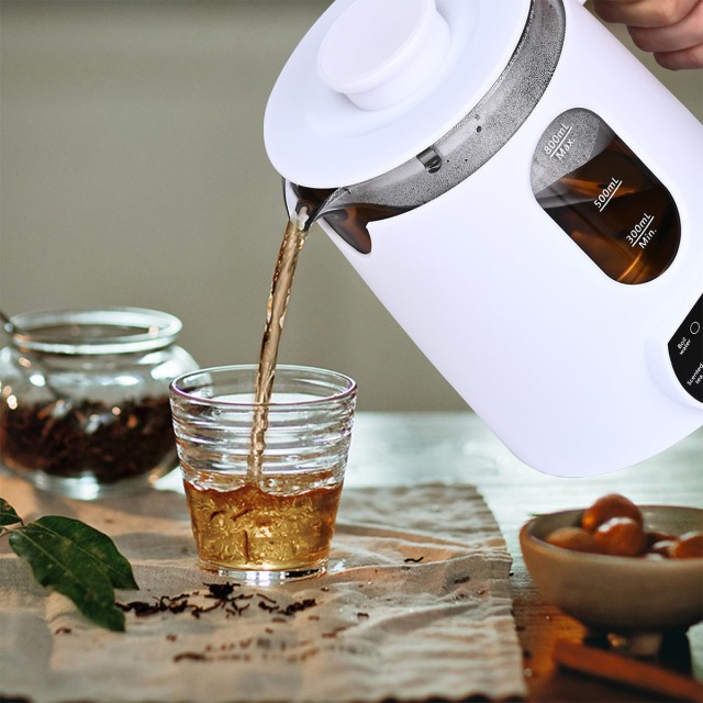Premium Electric Kettle