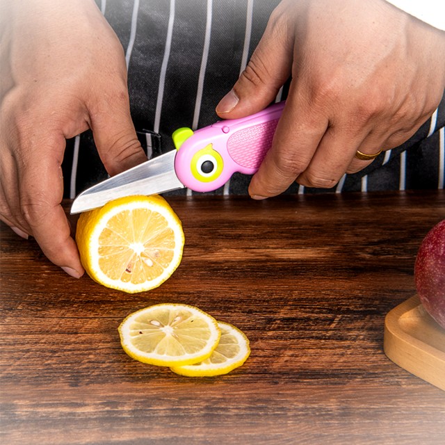 Household Folding Stainless Steel Fruit Knife