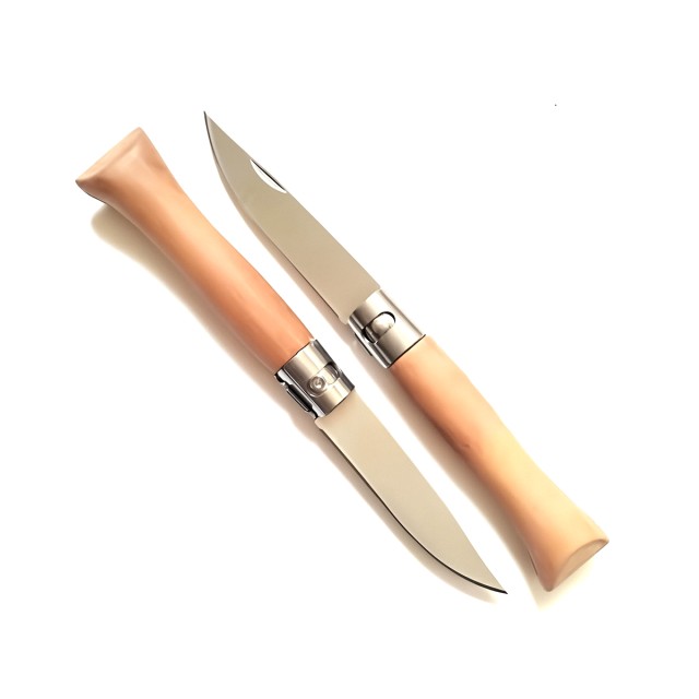 Household Wooden Handle Fruit Knife