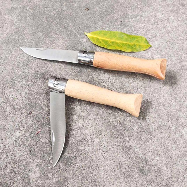 Household Wooden Handle Fruit Knife