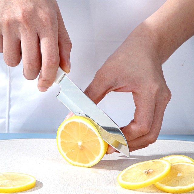 Household Stainless Steel Fruit Knife