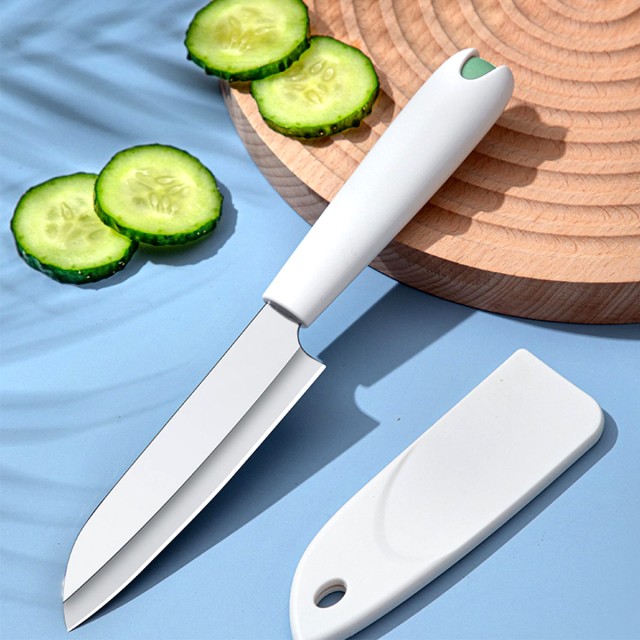 Household Stainless Steel Fruit Knife