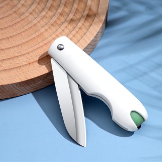 Household Stainless Steel Fruit Knife