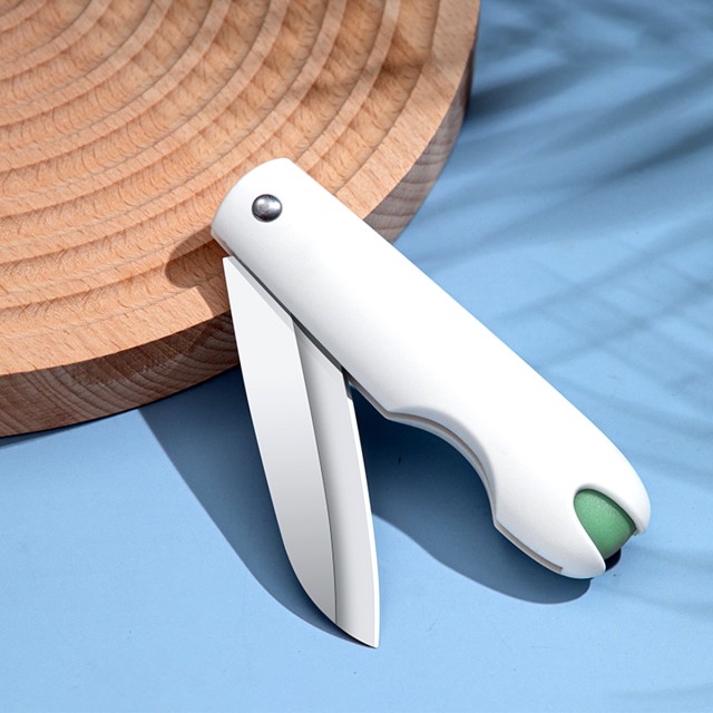 Household Stainless Steel Fruit Knife