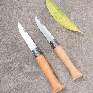Household Wooden Handle Fruit Knife