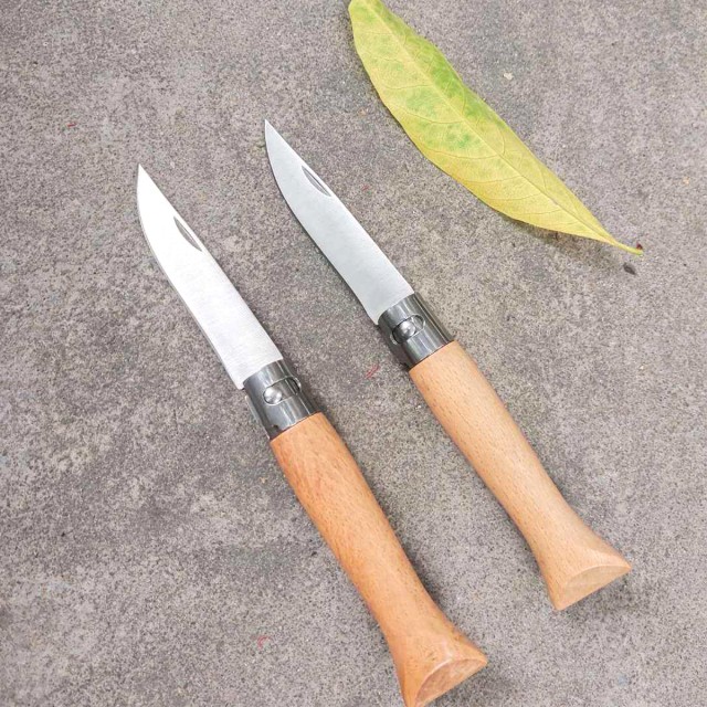 Household Wooden Handle Fruit Knife