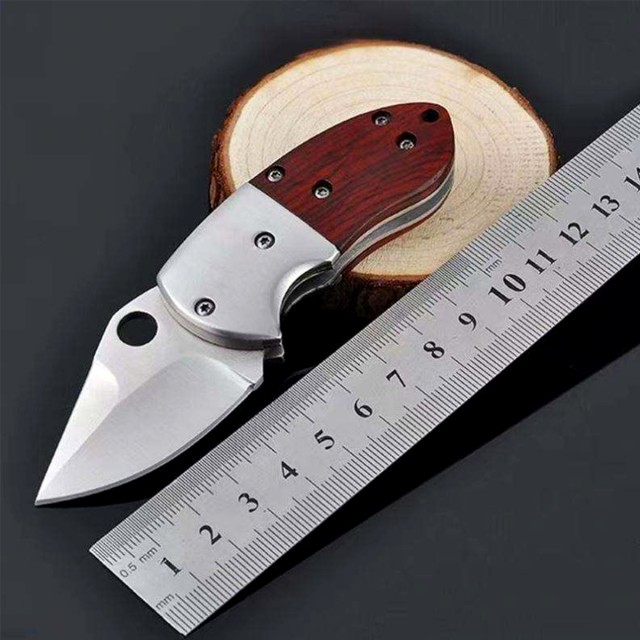 Multifunctional Mini Fruit Knife