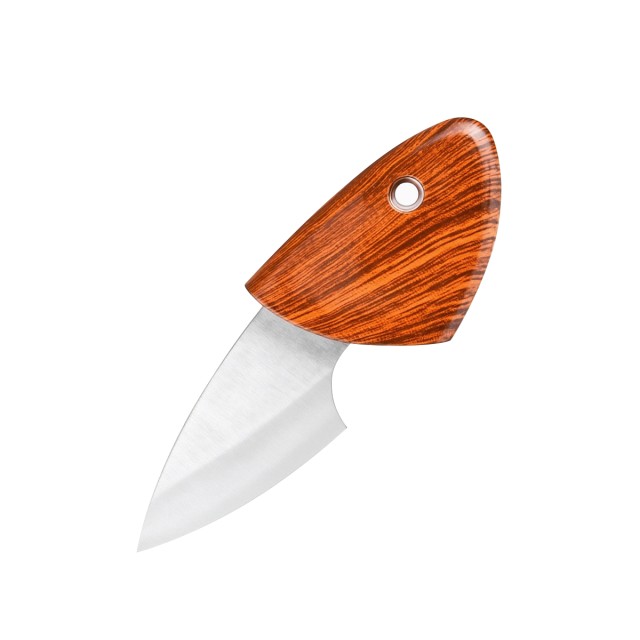 Dolphin Shaped Fruit Knife