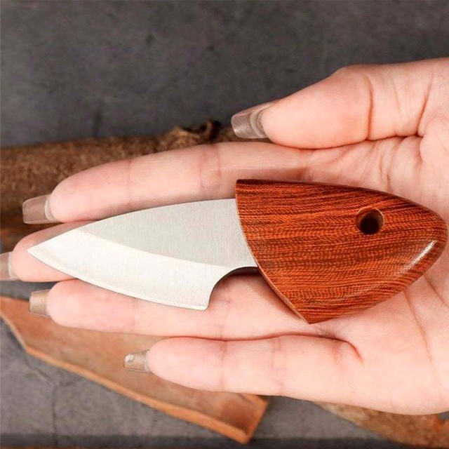Dolphin Shaped Fruit Knife