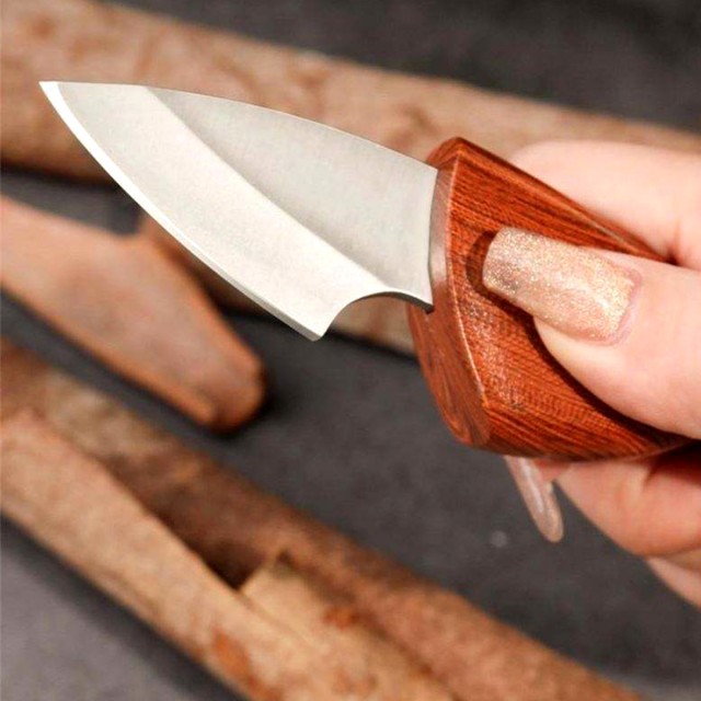 Dolphin Shaped Fruit Knife