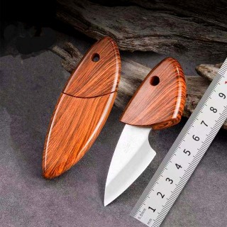 Dolphin Shaped Fruit Knife