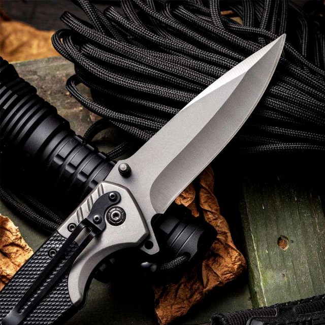 Black Folding Fruit Knife