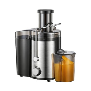 Fruit and Vegetable Juicer