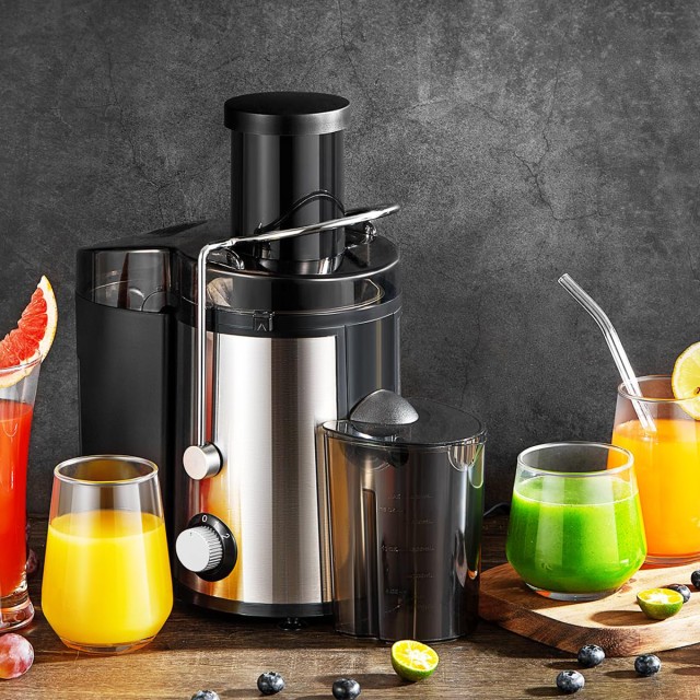 Fruit and Vegetable Juicer