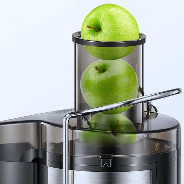 Fruit and Vegetable Juicer