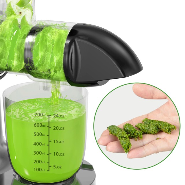 Horizontal Cold Press Juicer
