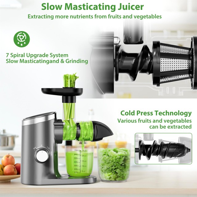 Horizontal Cold Press Juicer