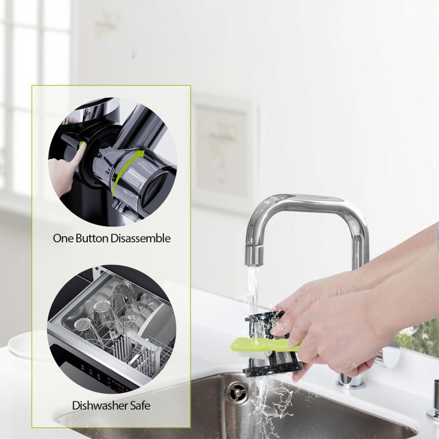 Horizontal Cold Press Juicer