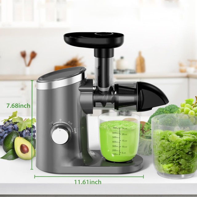 Horizontal Cold Press Juicer