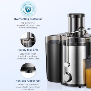 Fruit and Vegetable Juicer