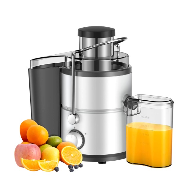 Dual Speed ​​Fruit and Vegetable Juicer