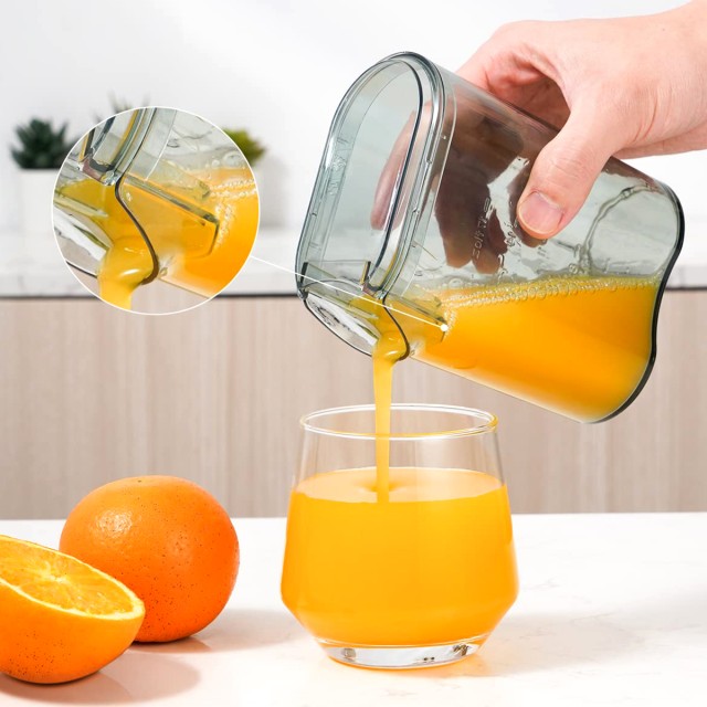 Dual Speed ​​Fruit and Vegetable Juicer