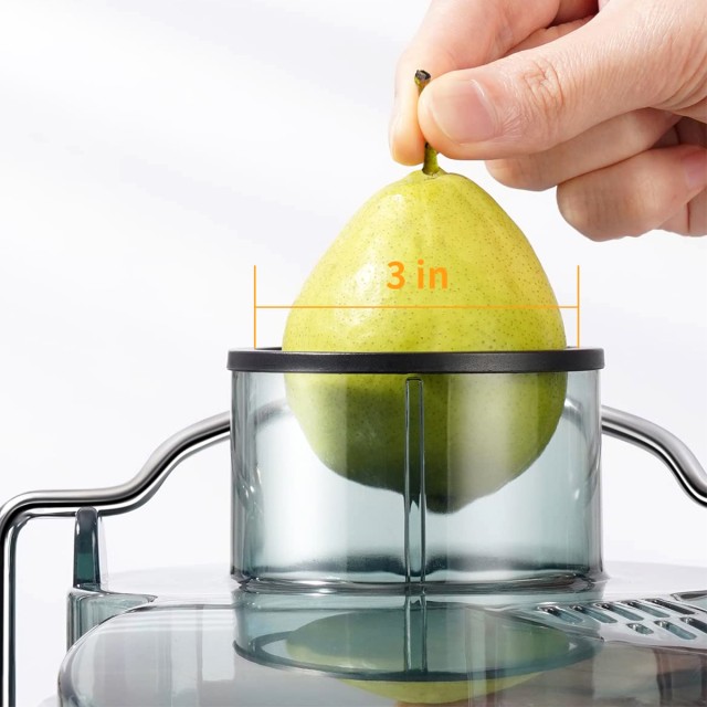 Dual Speed ​​Fruit and Vegetable Juicer