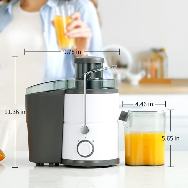 Dual Speed ​​Fruit and Vegetable Juicer
