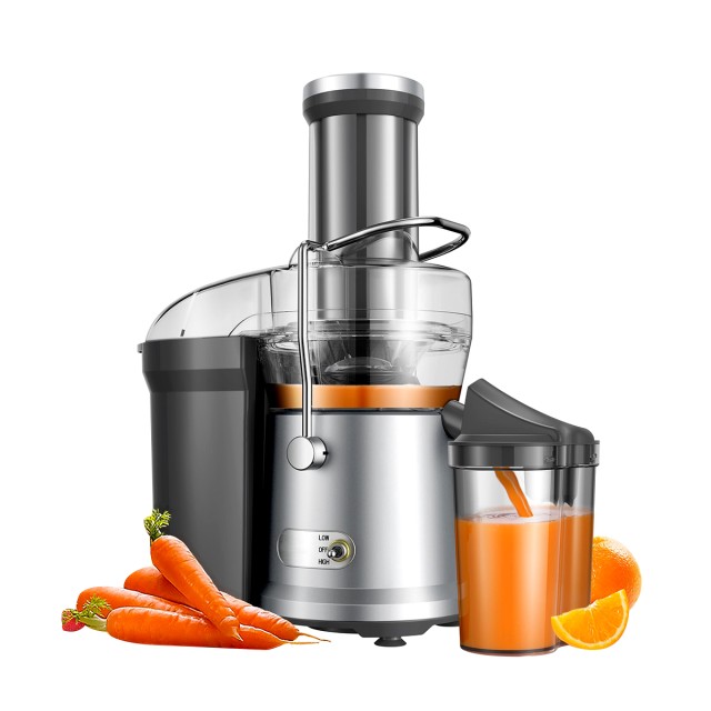1200W Fruit Juicer