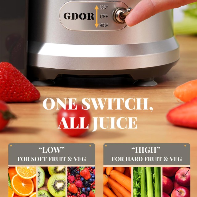1200W Fruit Juicer
