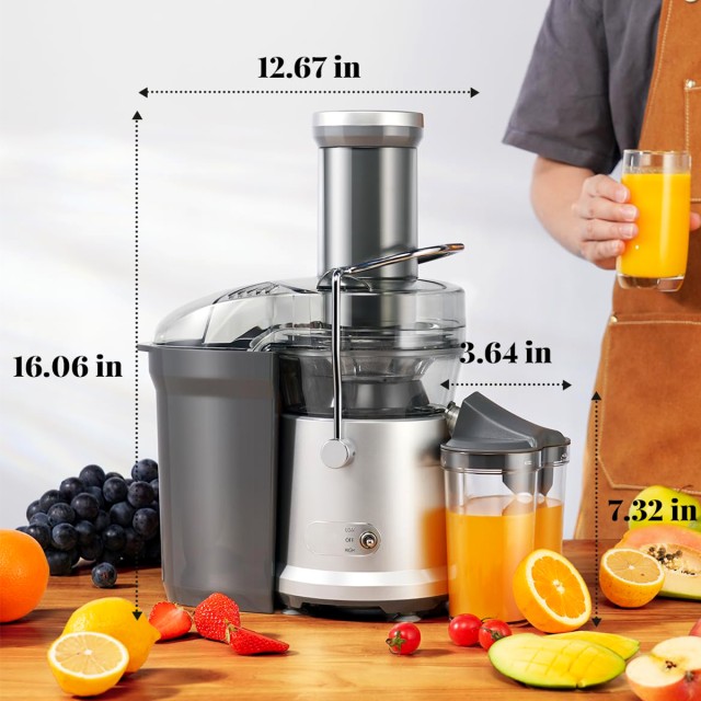 1200W Fruit Juicer