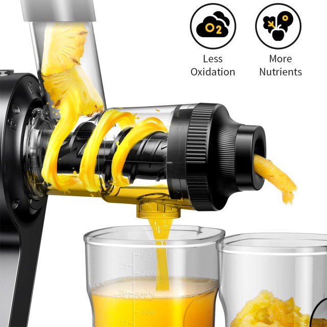 Low Noise Cold Press Juicer