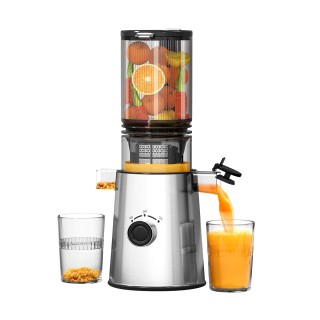 High Quality Fruit and Vegetable Juicer