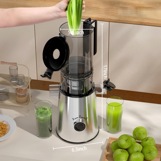 High Quality Fruit and Vegetable Juicer