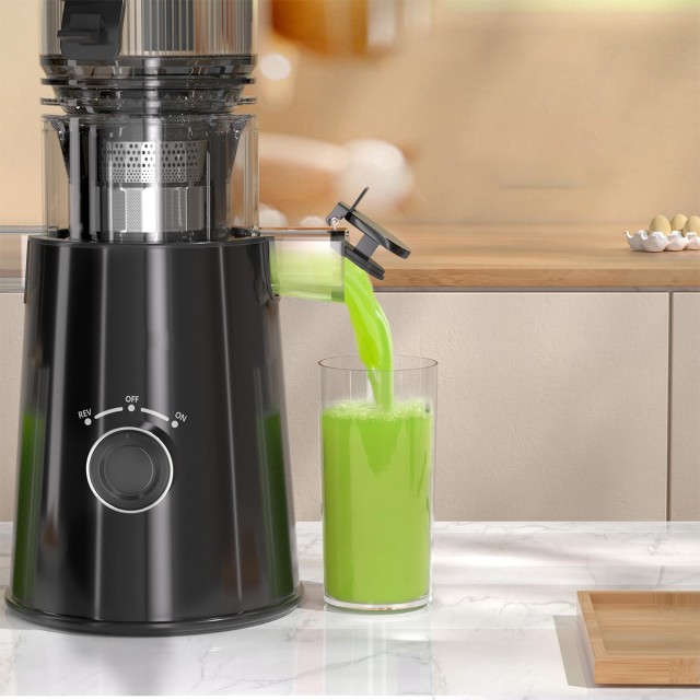 Large Capacity Cold Press Juicer