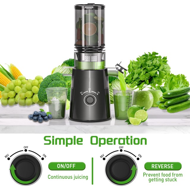 Large Capacity Cold Press Juicer