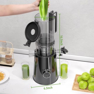 Large Capacity Cold Press Juicer
