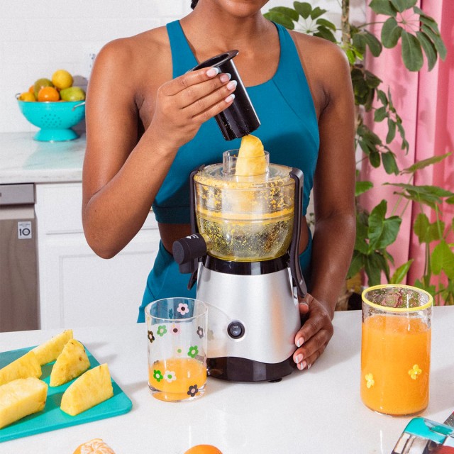 Mini Fruit and Vegetable Juicer