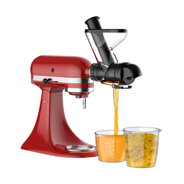 Vertical Fruit and Vegetable Juicer