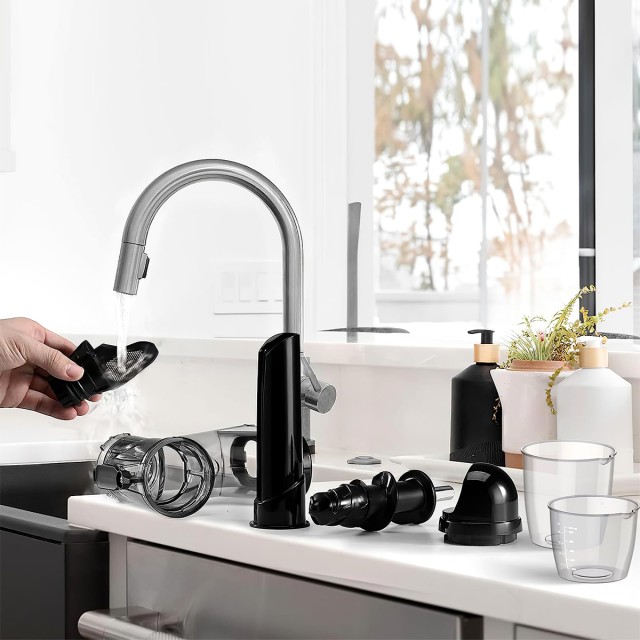 Vertical Fruit and Vegetable Juicer