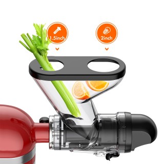 Vertical Fruit and Vegetable Juicer