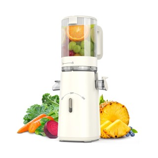 High Quality High Efficiency Fruit Juicer