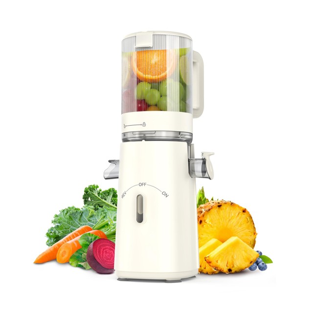 High Quality High Efficiency Fruit Juicer