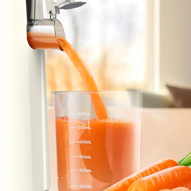 High Quality High Efficiency Fruit Juicer
